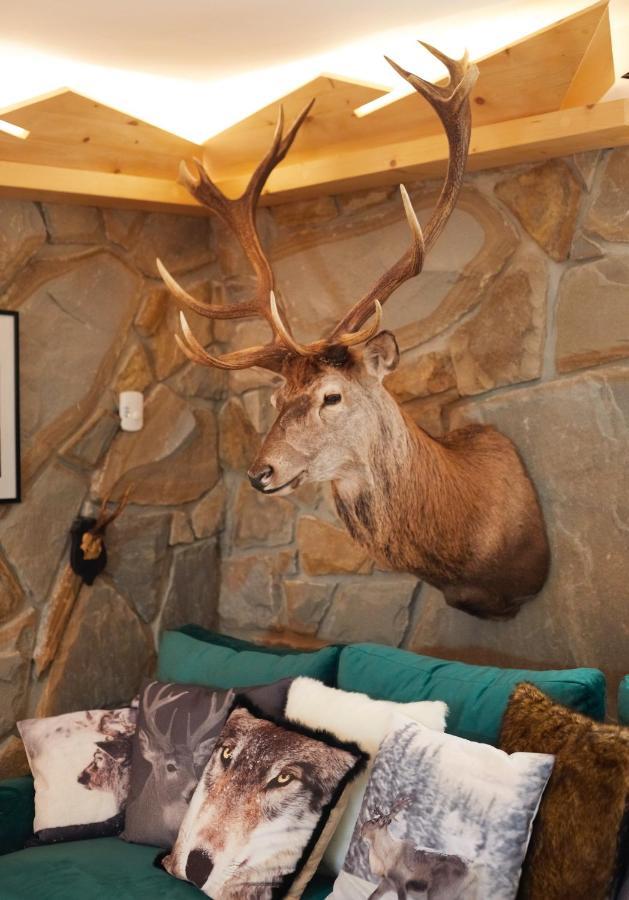 Witkowka Wild Luxury Apartments - Sauna & Spa X Adults Only Witow  Bagian luar foto